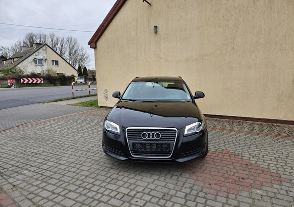 Audi A3 cena 25900 przebieg: 264000, rok produkcji 2010 z Gniezno małe 191